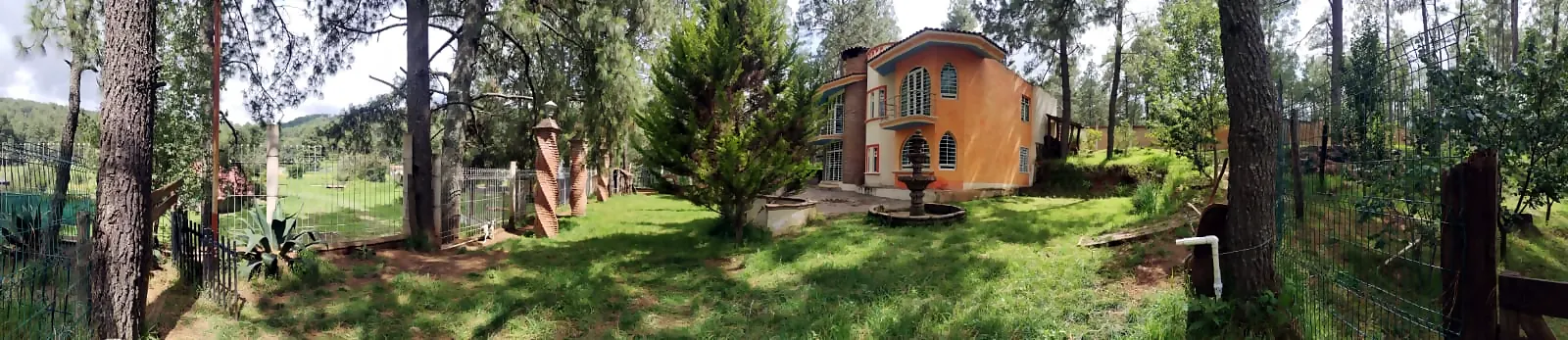 Vista panorámica del terreno boscoso con la casa al fondo
