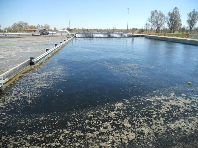 Laguna de agua clarificada con rastra para retirar natas